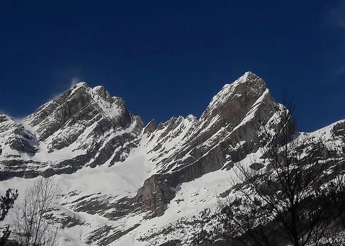 Apartman Casa Borja *